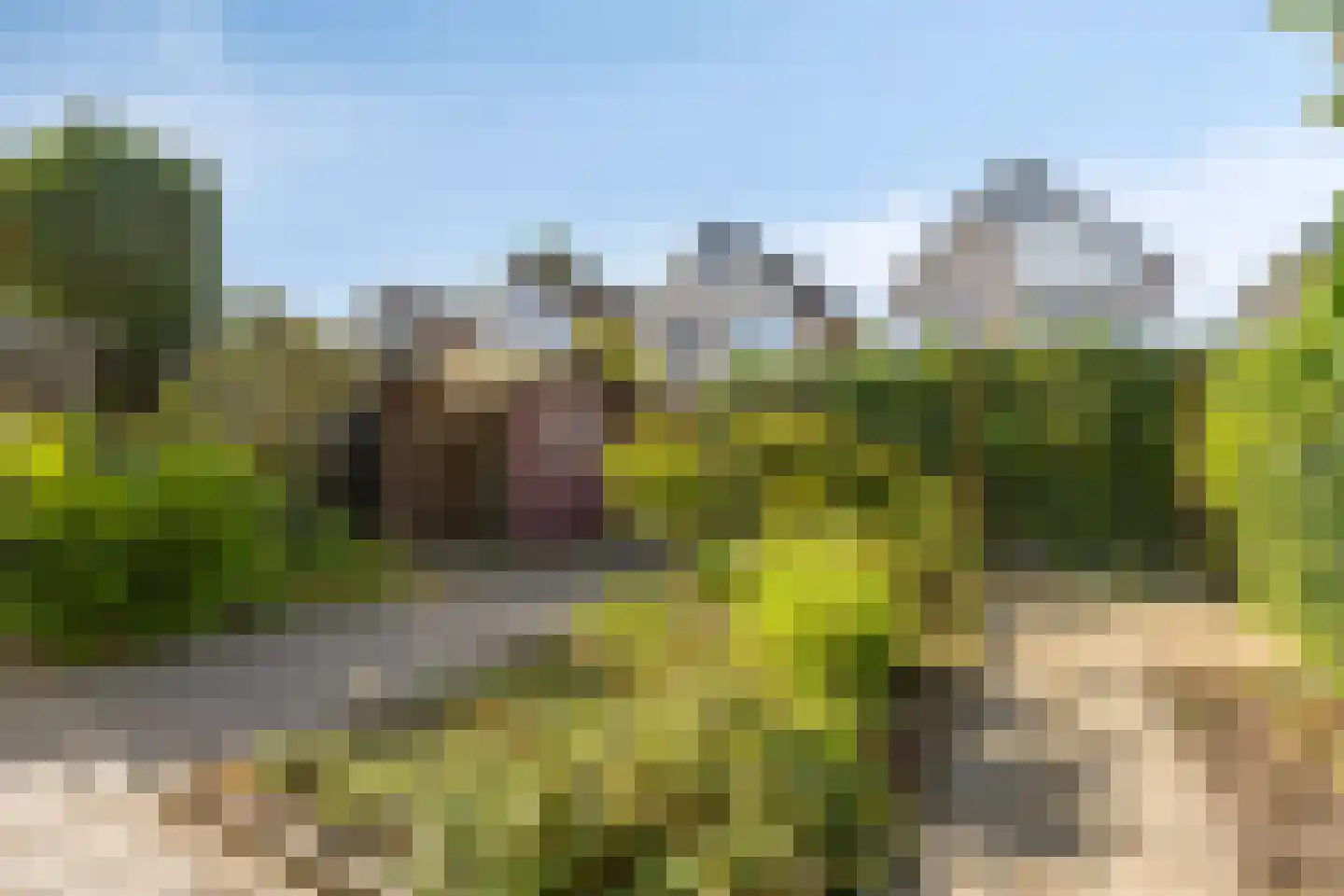 Veldstraat 42 Duiven thumbnail 49