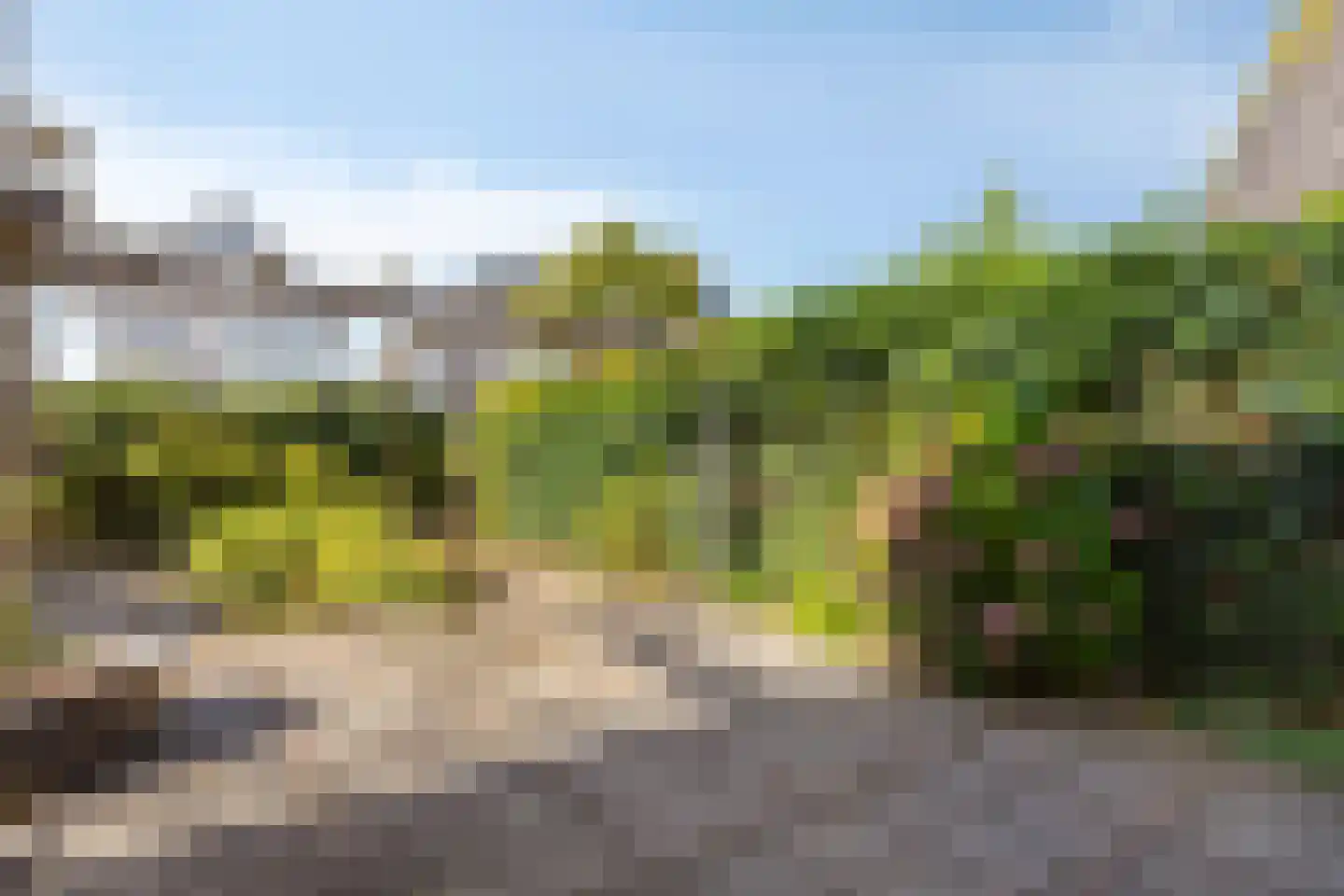 Veldstraat 42 Duiven thumbnail 50