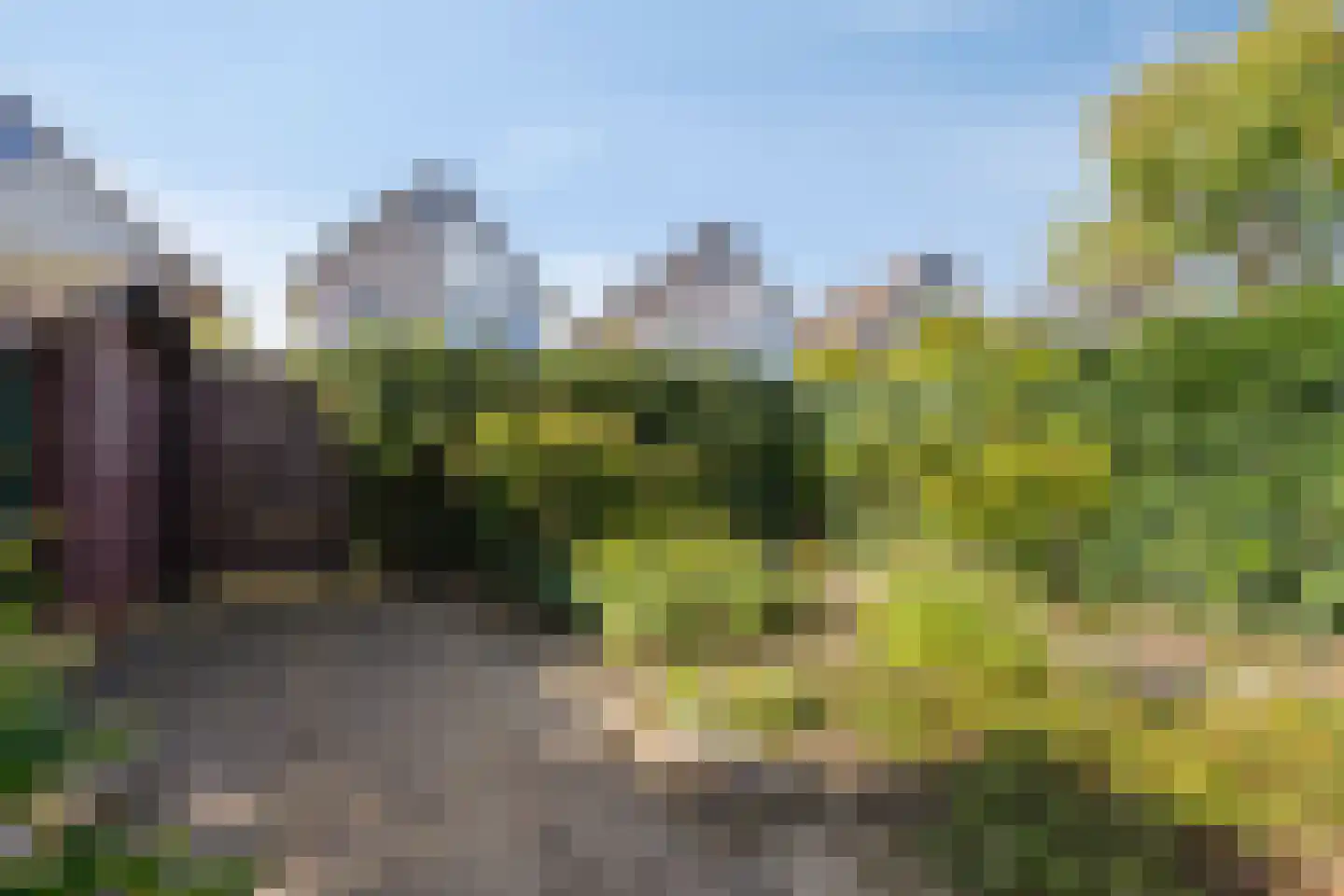 Veldstraat 42 Duiven thumbnail 51
