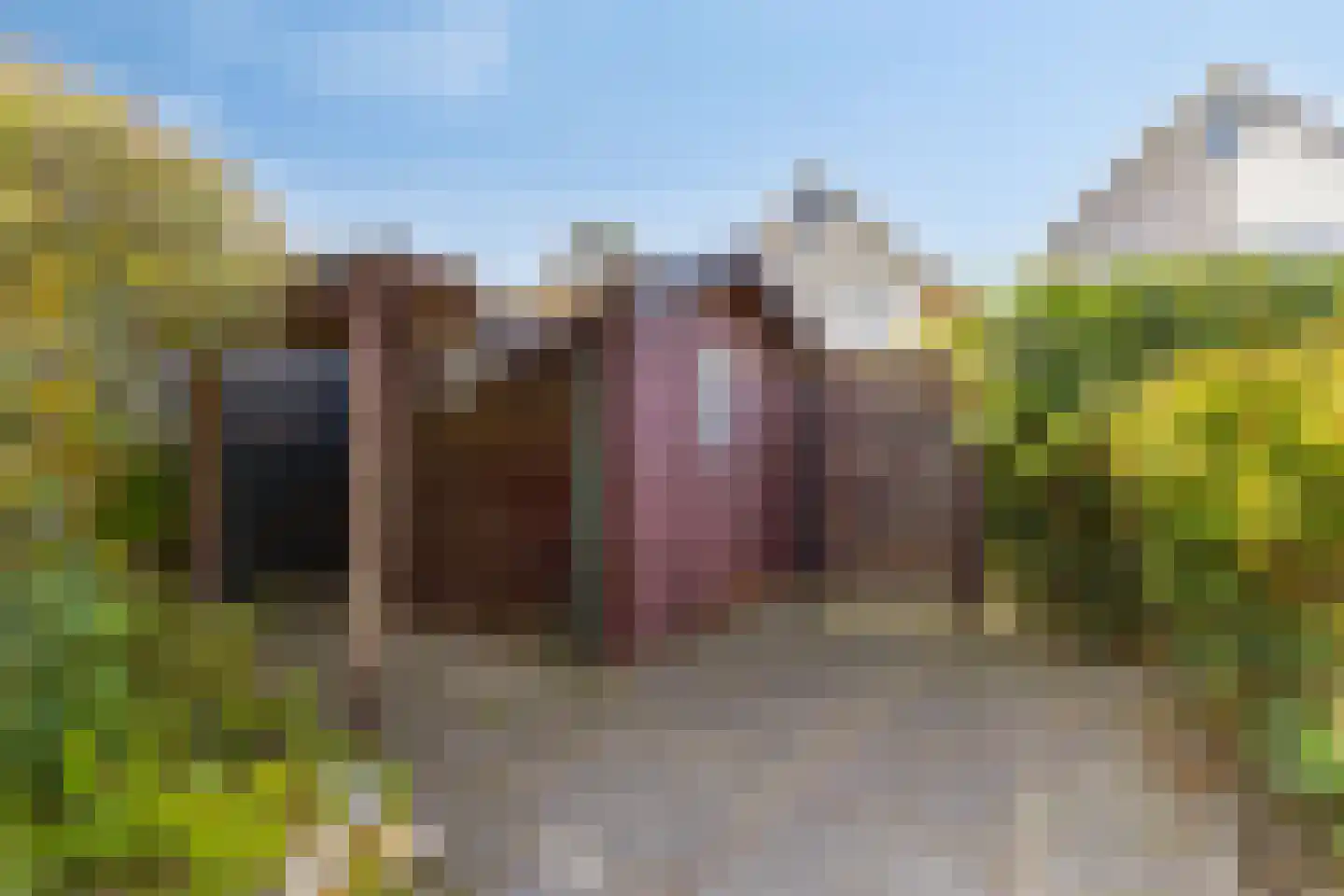 Veldstraat 42 Duiven thumbnail 52