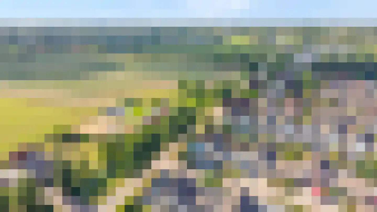 Veldstraat 42 Duiven thumbnail 6