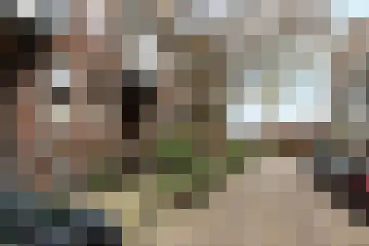 Veldstraat 44 Duiven thumbnail 30