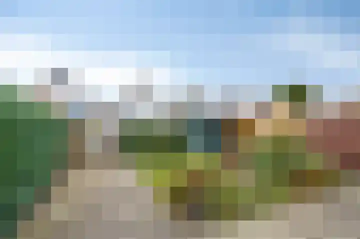 Veldstraat 44 Duiven thumbnail 38