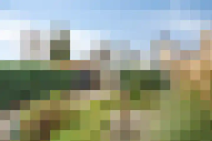 Veldstraat 44 Duiven thumbnail 43