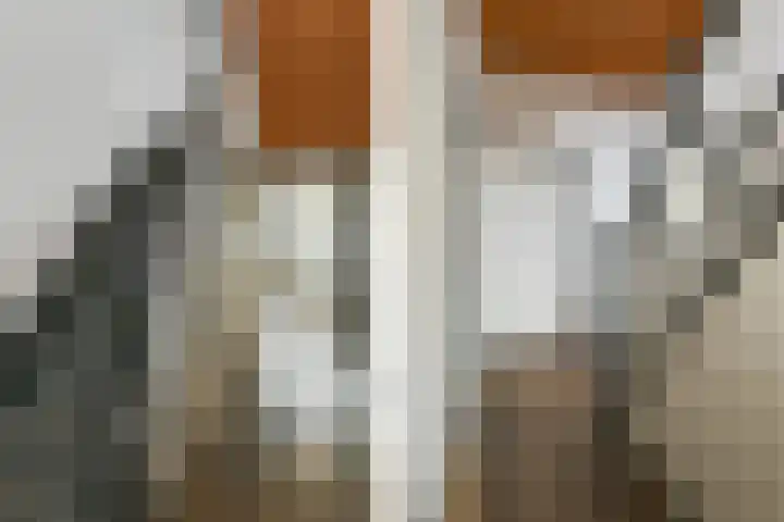 Veldstraat 46 A Helden thumbnail 11