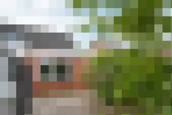 Veldstraat 46 A Helden thumbnail 23