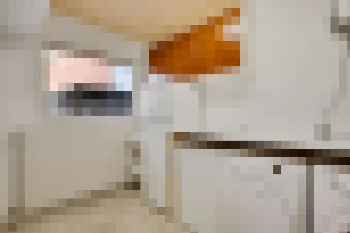 Veldstraat 46 Stramproy thumbnail 14