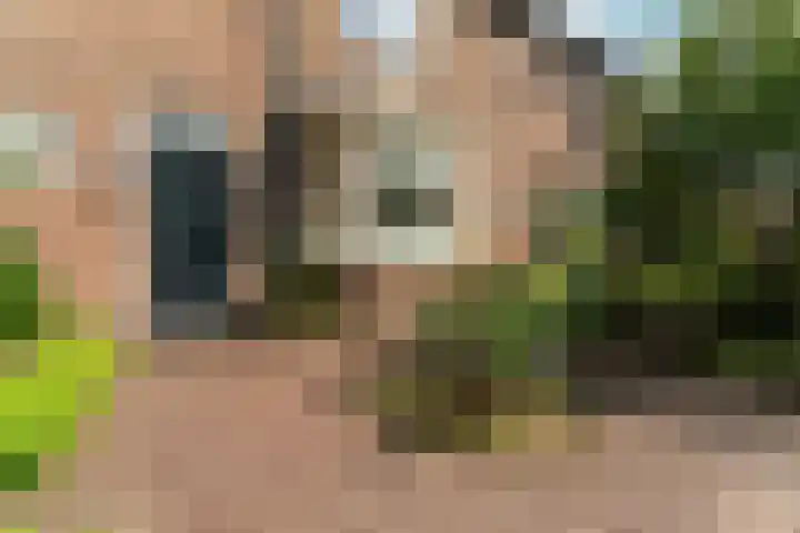 Veldstraat 47 B Nijmegen thumbnail 4