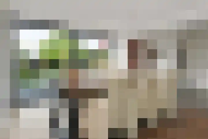 Veldstraat 48 Helden thumbnail 10