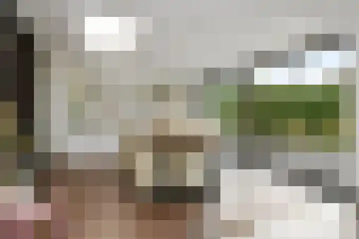 Veldstraat 48 Helden thumbnail 11