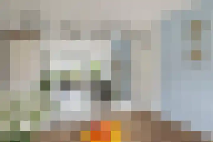 Veldstraat 48 Helden thumbnail 16