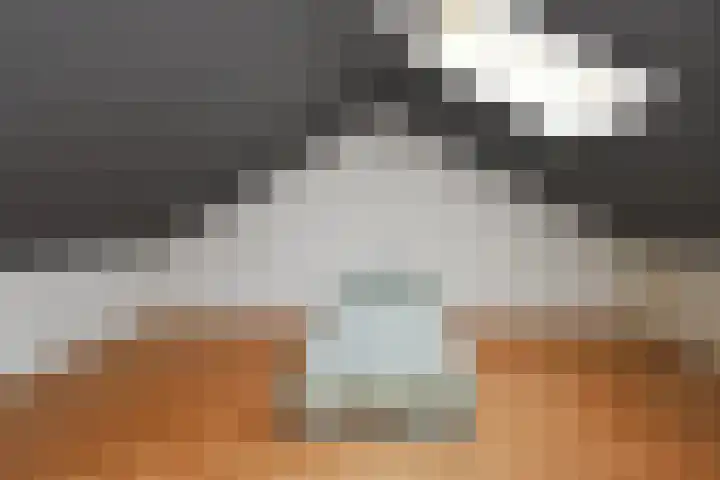 Veldstraat 48 Helden thumbnail 28