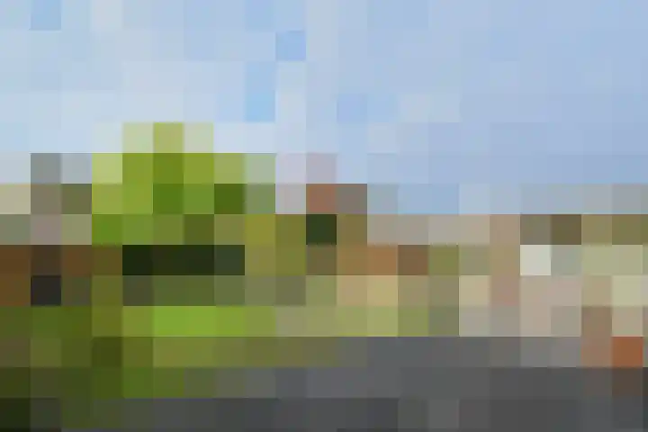 Veldstraat 48 Helden thumbnail 29