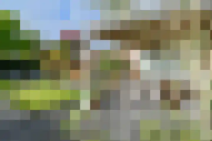 Veldstraat 48 Helden thumbnail 31