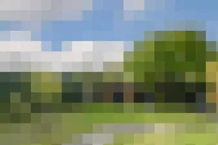 Veldstraat 48 Helden thumbnail 33