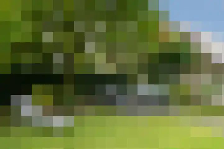 Veldstraat 48 Helden thumbnail 34