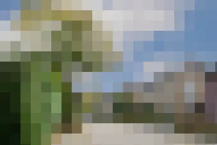 Veldstraat 48 Helden thumbnail 4
