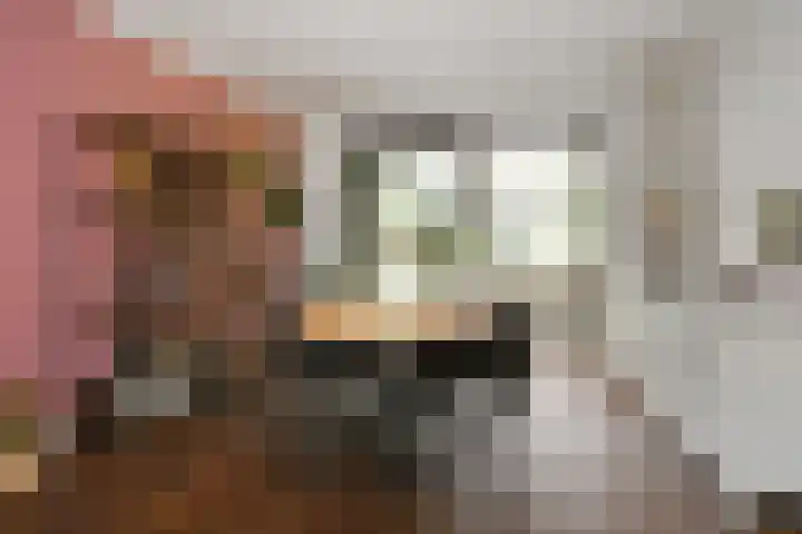 Veldstraat 48 Helden thumbnail 8