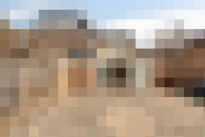 Veldstraat 49 Brunssum thumbnail 30