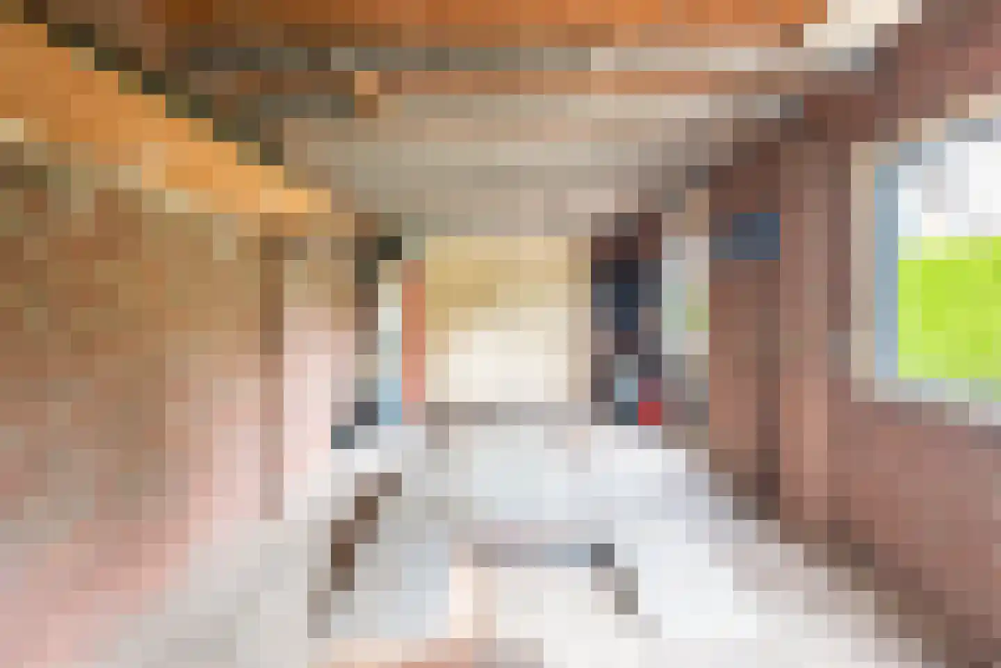 Veldstraat 5 Ulft thumbnail 22