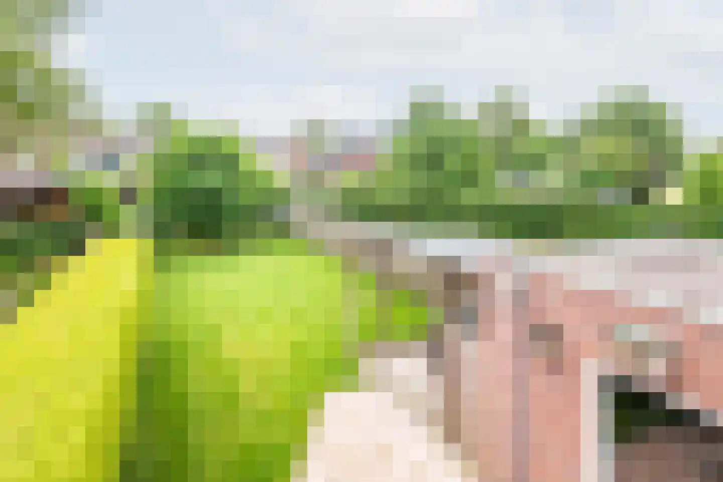 Veldstraat 5 Ulft thumbnail 23