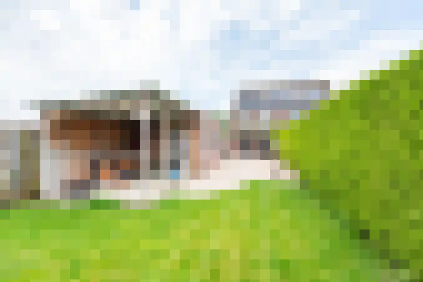 Veldstraat 5 Ulft thumbnail 24