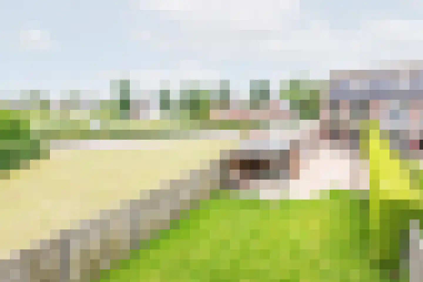 Veldstraat 5 Ulft thumbnail 4