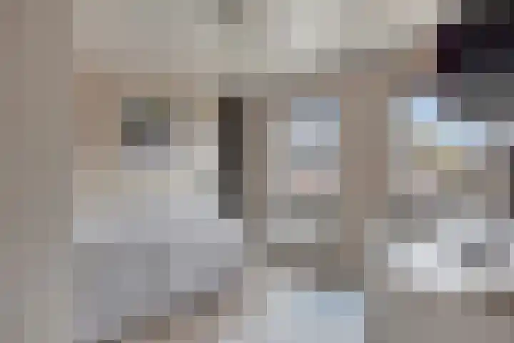 Veldstraat 51 Zundert thumbnail 42