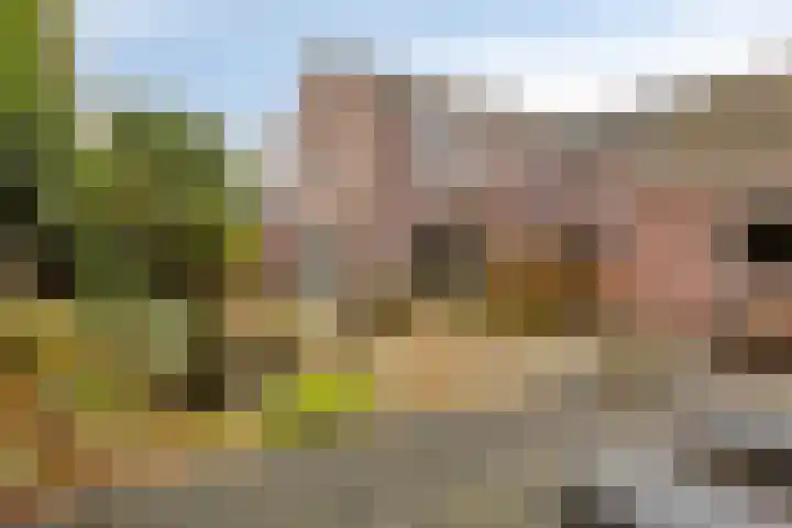 Veldstraat 51 Zundert thumbnail 5