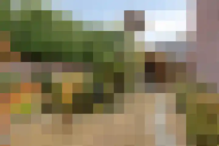 Veldstraat 51 Zundert thumbnail 51