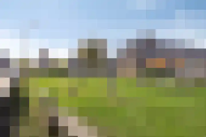 Veldstraat 51 Zundert thumbnail 69