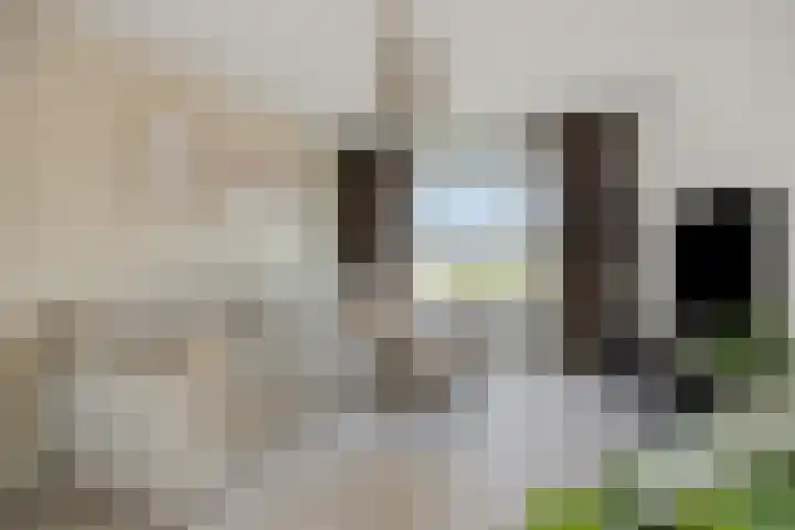 Veldstraat 52 Deurne thumbnail 11