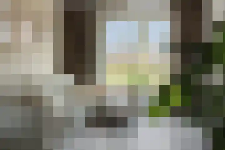 Veldstraat 52 Deurne thumbnail 12