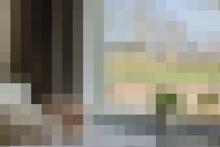 Veldstraat 52 Deurne thumbnail 13
