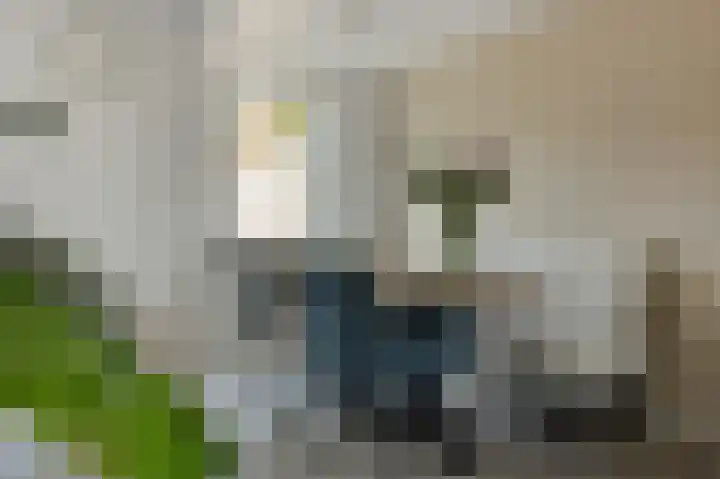 Veldstraat 52 Deurne thumbnail 15