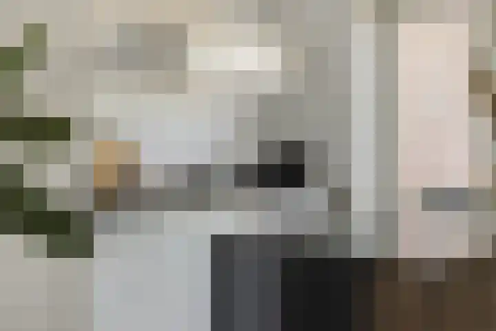 Veldstraat 52 Deurne thumbnail 19