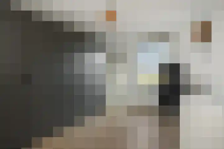 Veldstraat 52 Deurne thumbnail 23