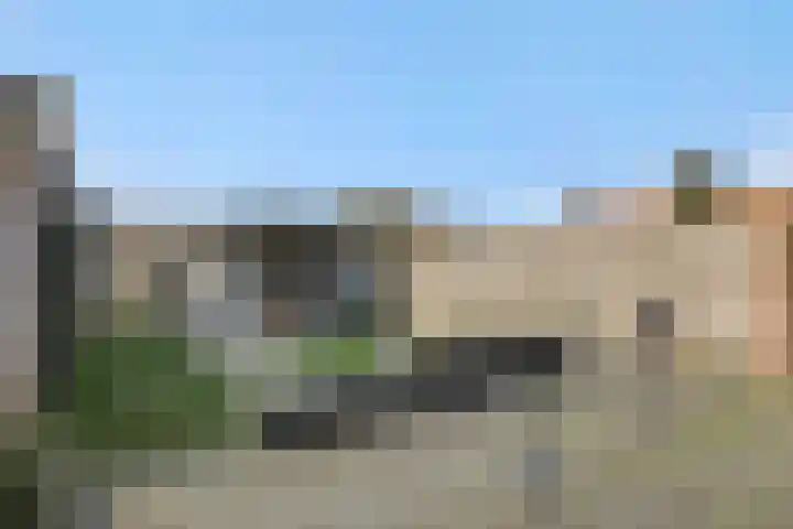 Veldstraat 52 Deurne thumbnail 31
