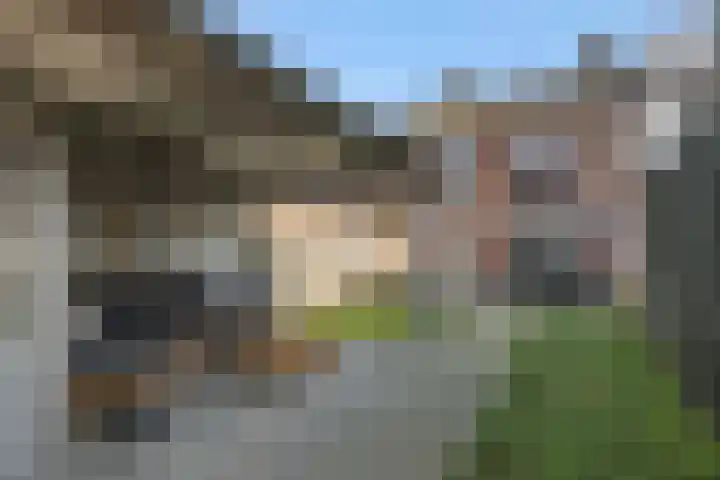 Veldstraat 52 Deurne thumbnail 33