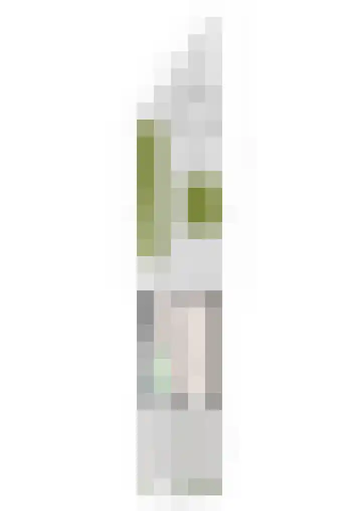 Veldstraat 52 Deurne thumbnail 45