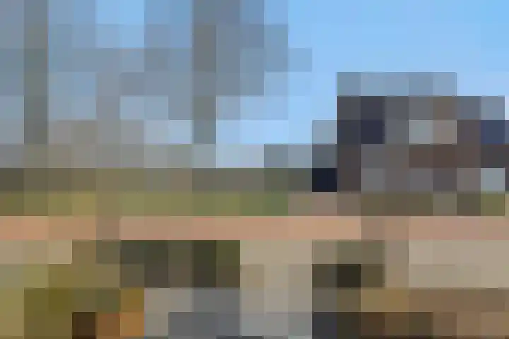 Veldstraat 52 Deurne thumbnail 6