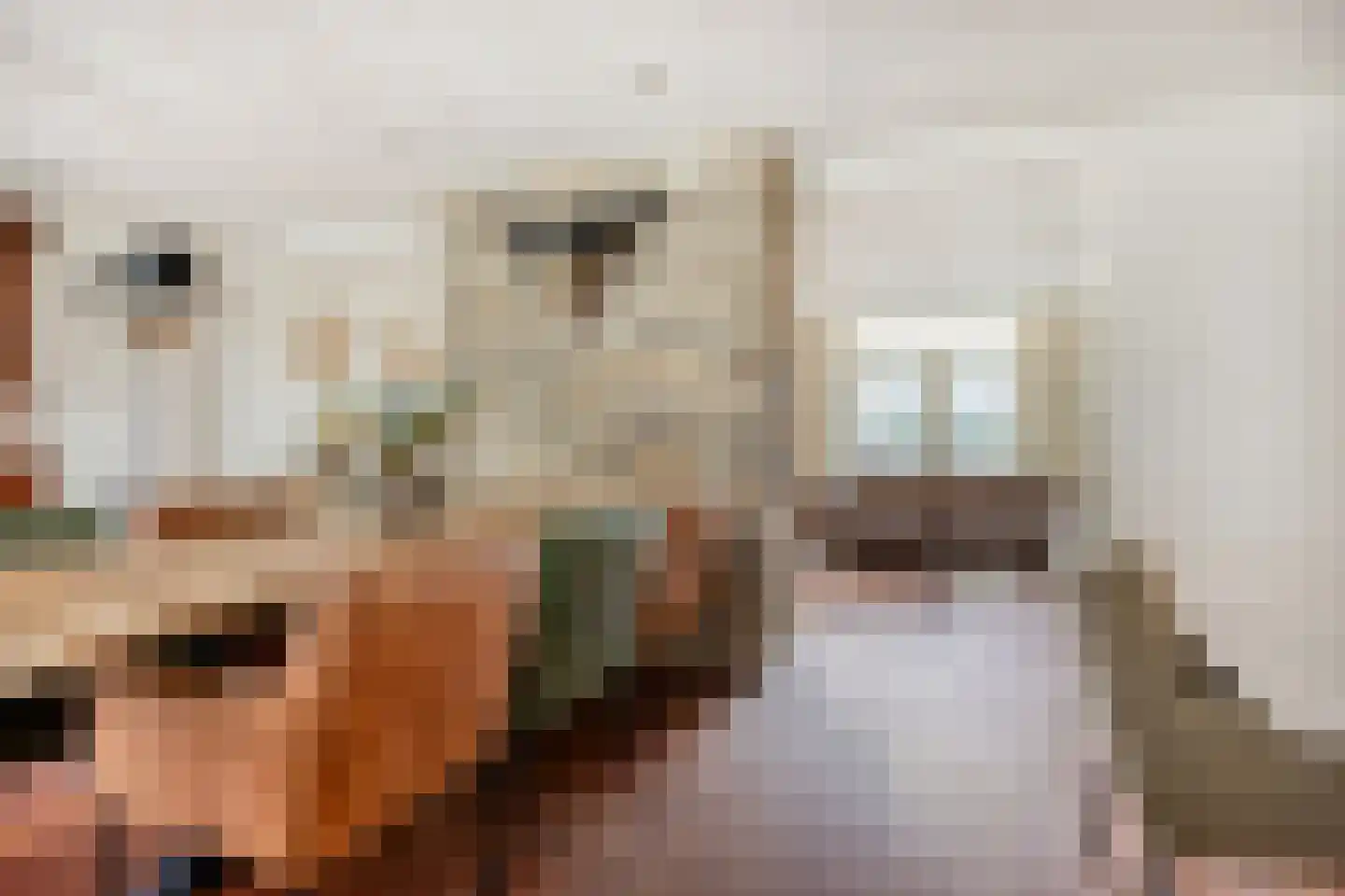 Veldstraat 6 A Geffen thumbnail 10