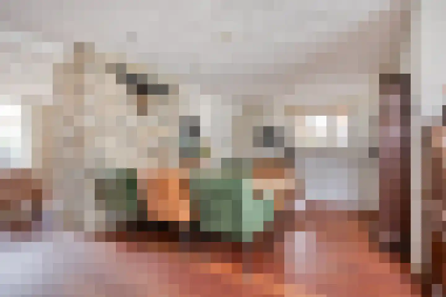 Veldstraat 6 A Geffen thumbnail 13