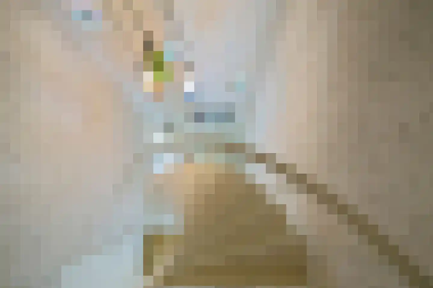 Veldstraat 6 A Geffen thumbnail 35