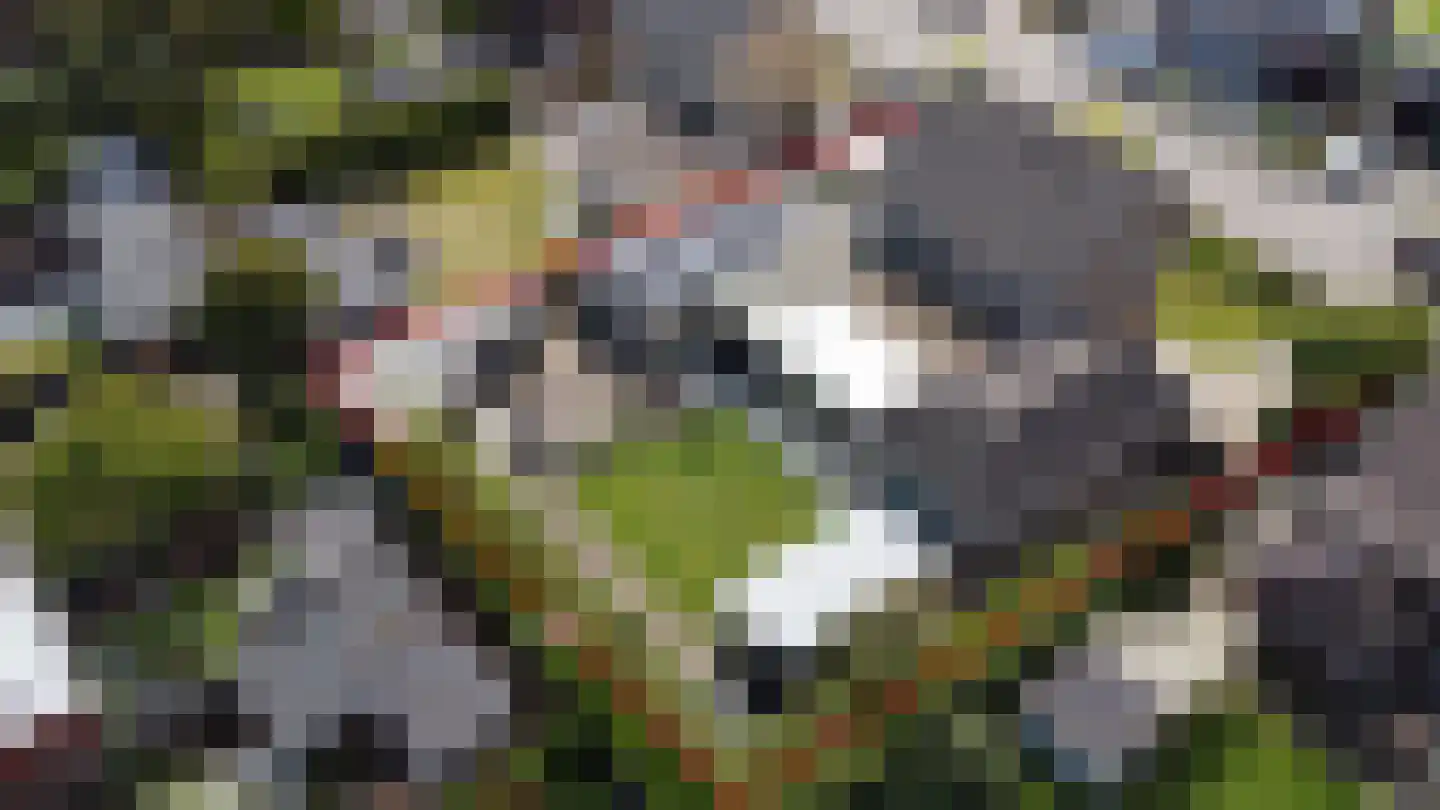 Veldstraat 6 A Geffen thumbnail 4