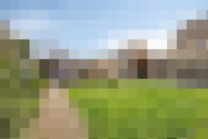 Veldstraat 6 A Geffen thumbnail 43