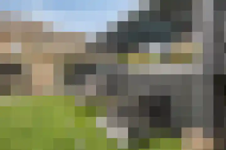 Veldstraat 6 A Geffen thumbnail 44