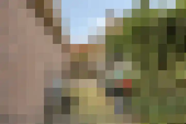 Veldstraat 6 A Geffen thumbnail 50