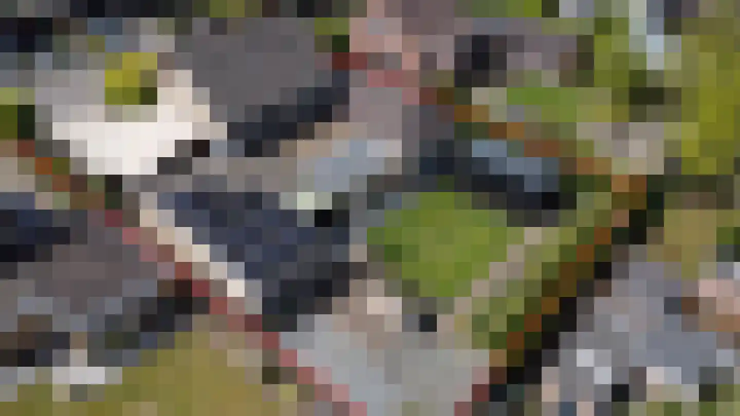 Veldstraat 6 A Geffen thumbnail 52