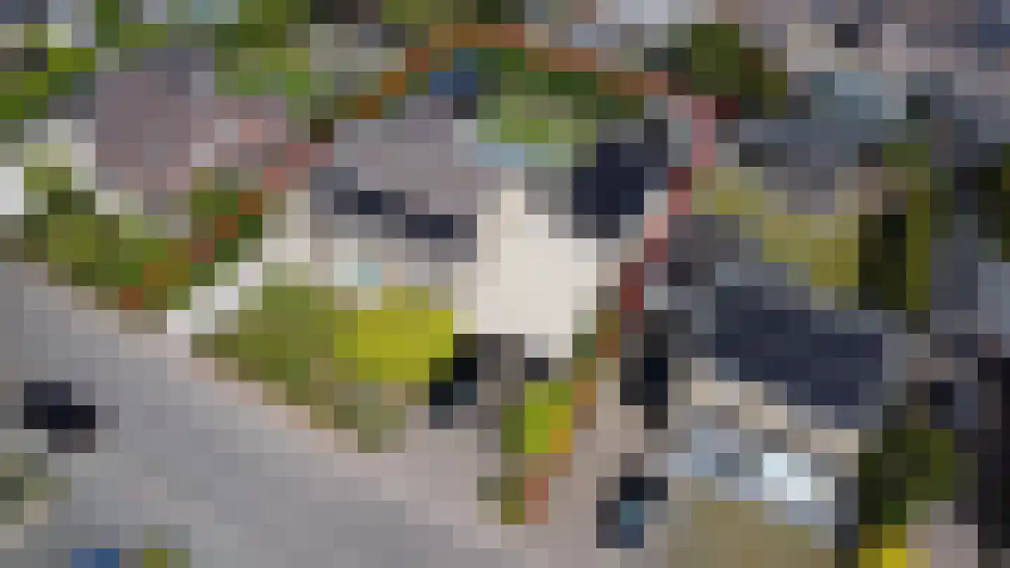 Veldstraat 6 A Geffen thumbnail 53
